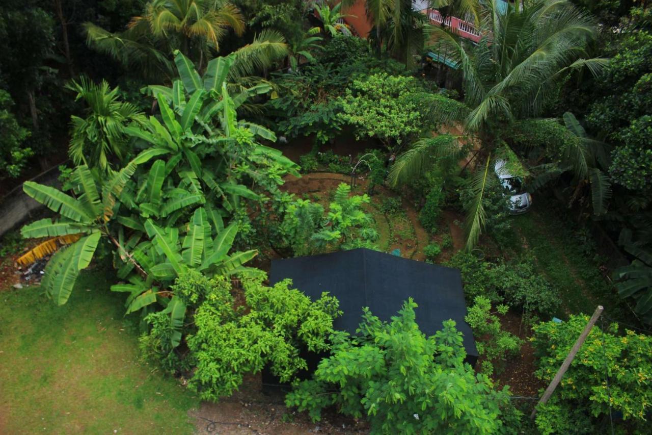 Heritage Eco Resort Kelaniya エクステリア 写真
