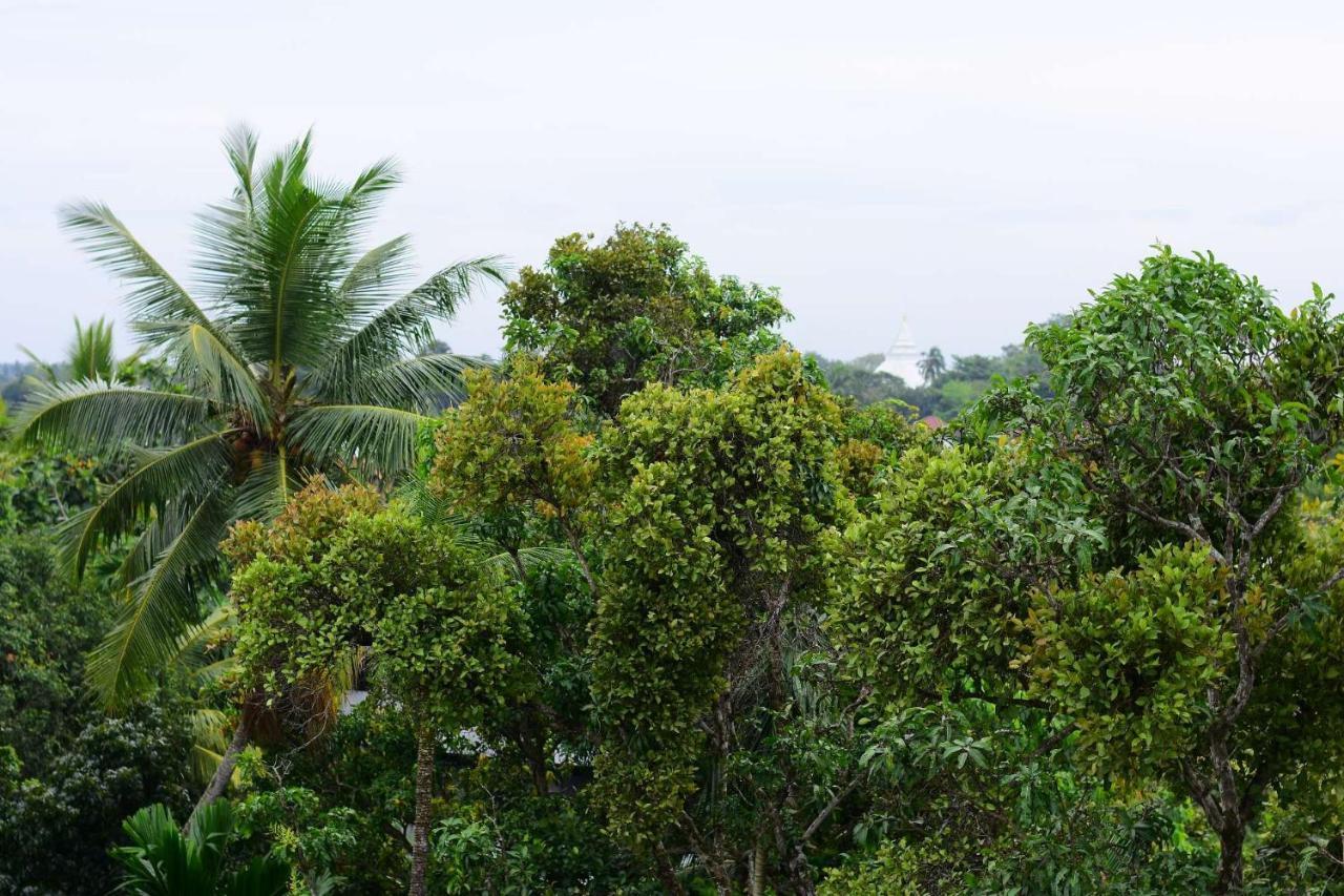Heritage Eco Resort Kelaniya エクステリア 写真