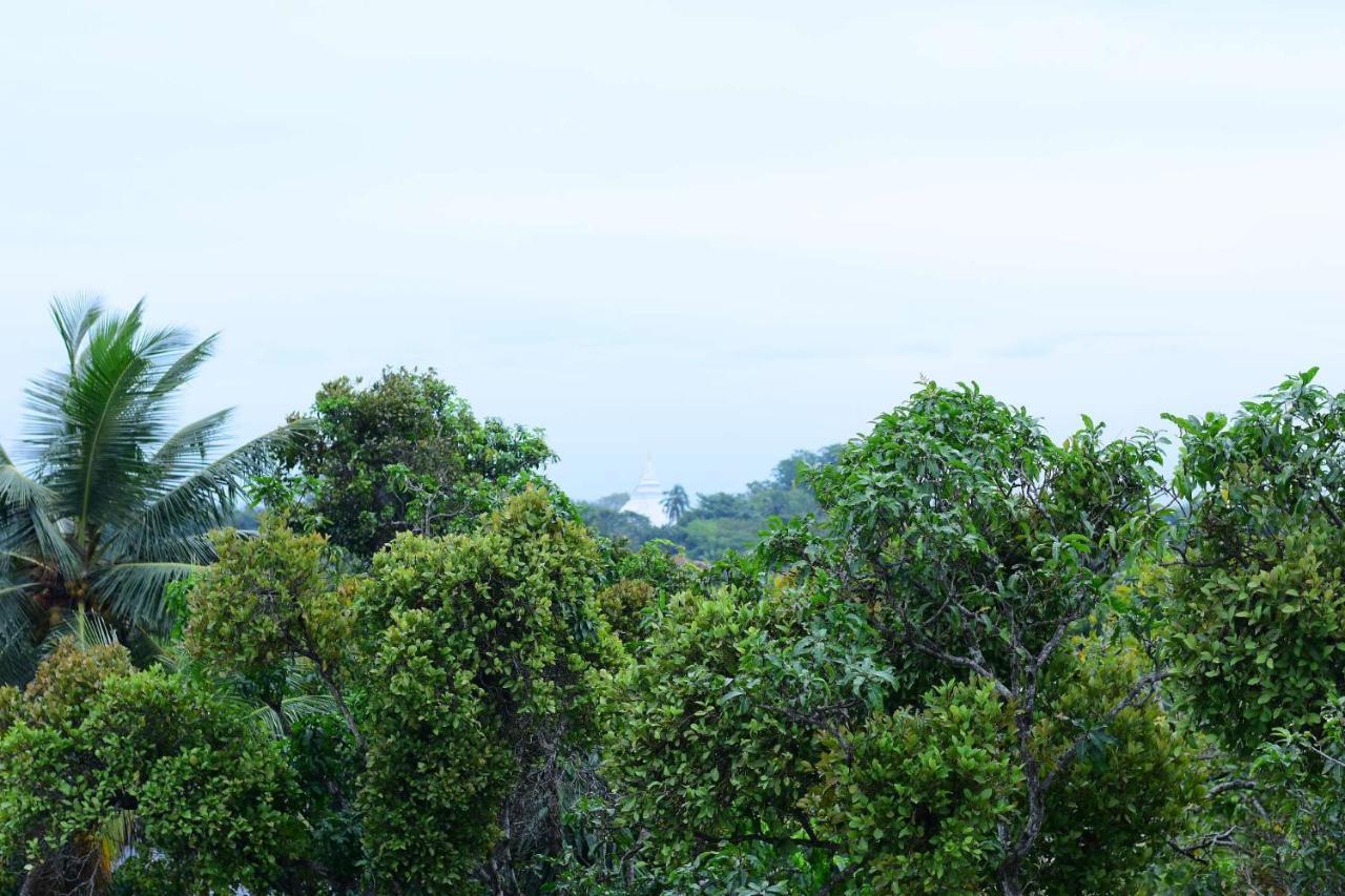 Heritage Eco Resort Kelaniya エクステリア 写真