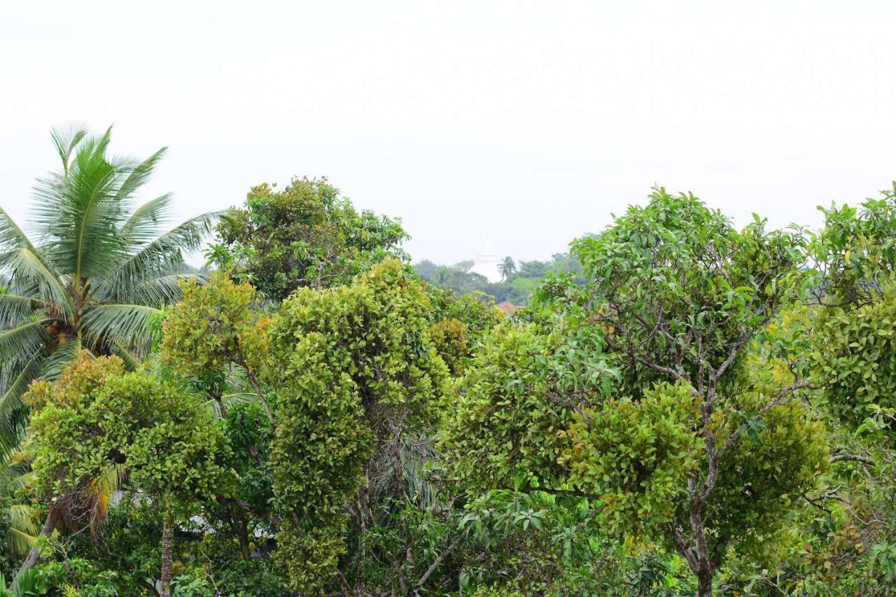 Heritage Eco Resort Kelaniya エクステリア 写真